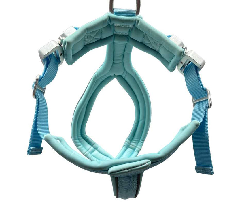 Das 2,5 cm BTactical™ Schlupfgeschirr | Pastellblau