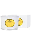 GRAPEFRUIT & JASMINE CANDLE 350G