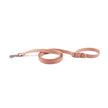 Pet Adjustable Hand Holding Rope Necklet Set