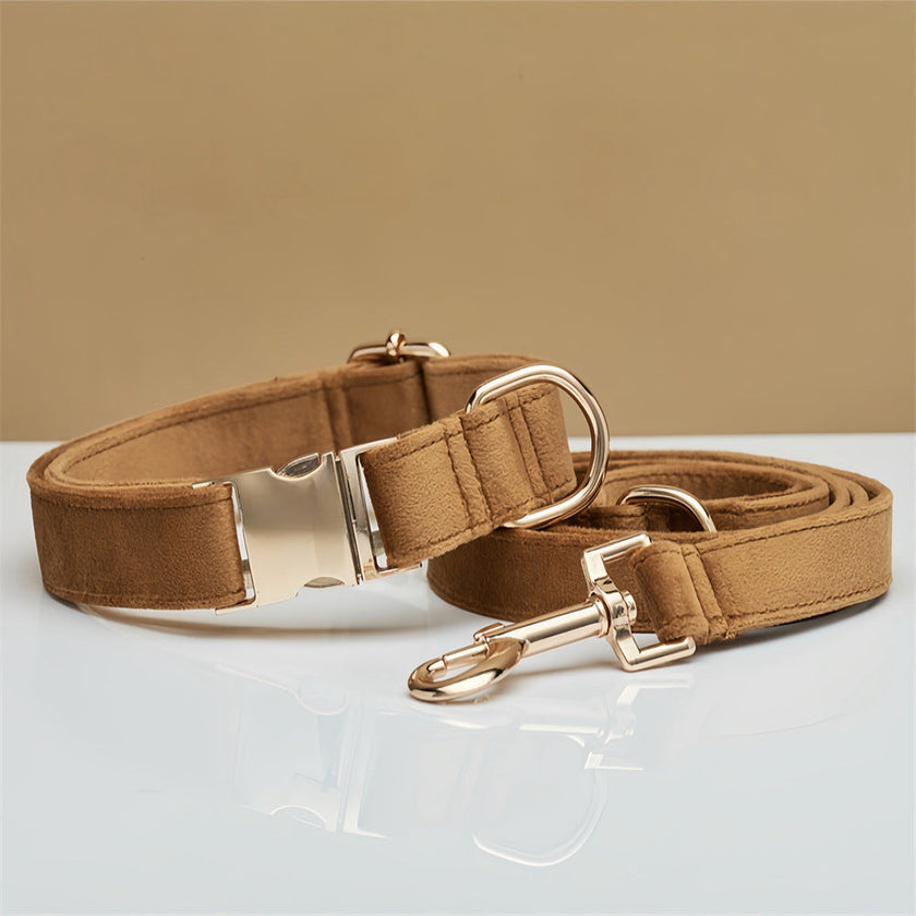 Multiple Colour Velvet Personalise Dog Collar Leash Set With Bow