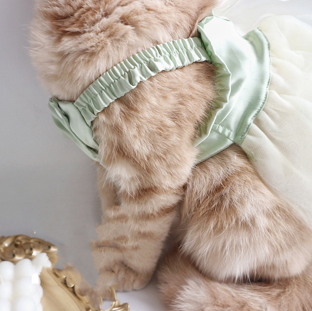 Remolque Ropa Perro Gato Salir Cuerda de remolque Lazo