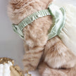 Remolque Ropa Perro Gato Salir Cuerda de remolque Lazo