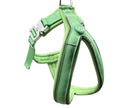 The 2.5cm BTactical™ Slip on Harness | Pastel Green