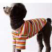 Summer Thin Cotton Breathable Striped T-shirt For Dogs And Cats