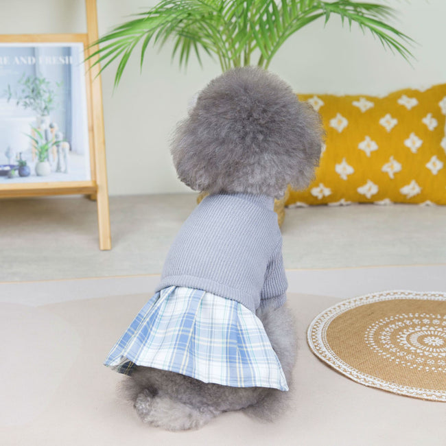 Wool Fabric Leisure Warm Sweatshirt Skirt Pants Suit Dog Clothes