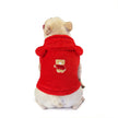 Teddy Bichon Small Dog Dog Clothes