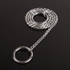 Metal dog collar