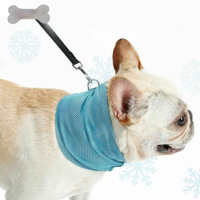 Neues sofort kühlendes Hundehalstuch, Hundeschal, sommerliches Kühltuch, Hundehalsband