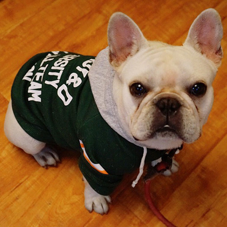 Small And Medium-sized Dog Corgi In Cotton Sweater