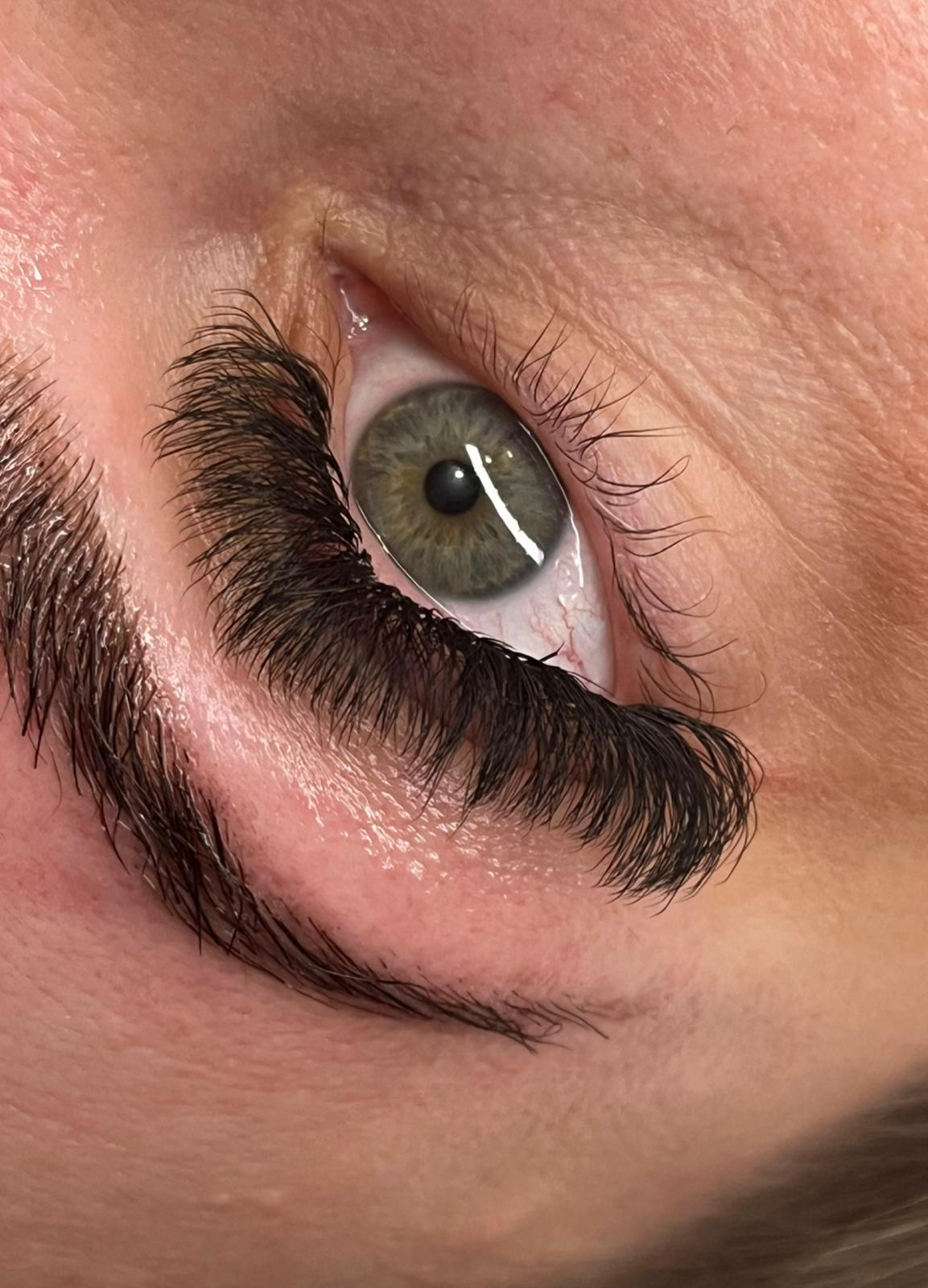 8D Clover Single Length 16 Row Tray