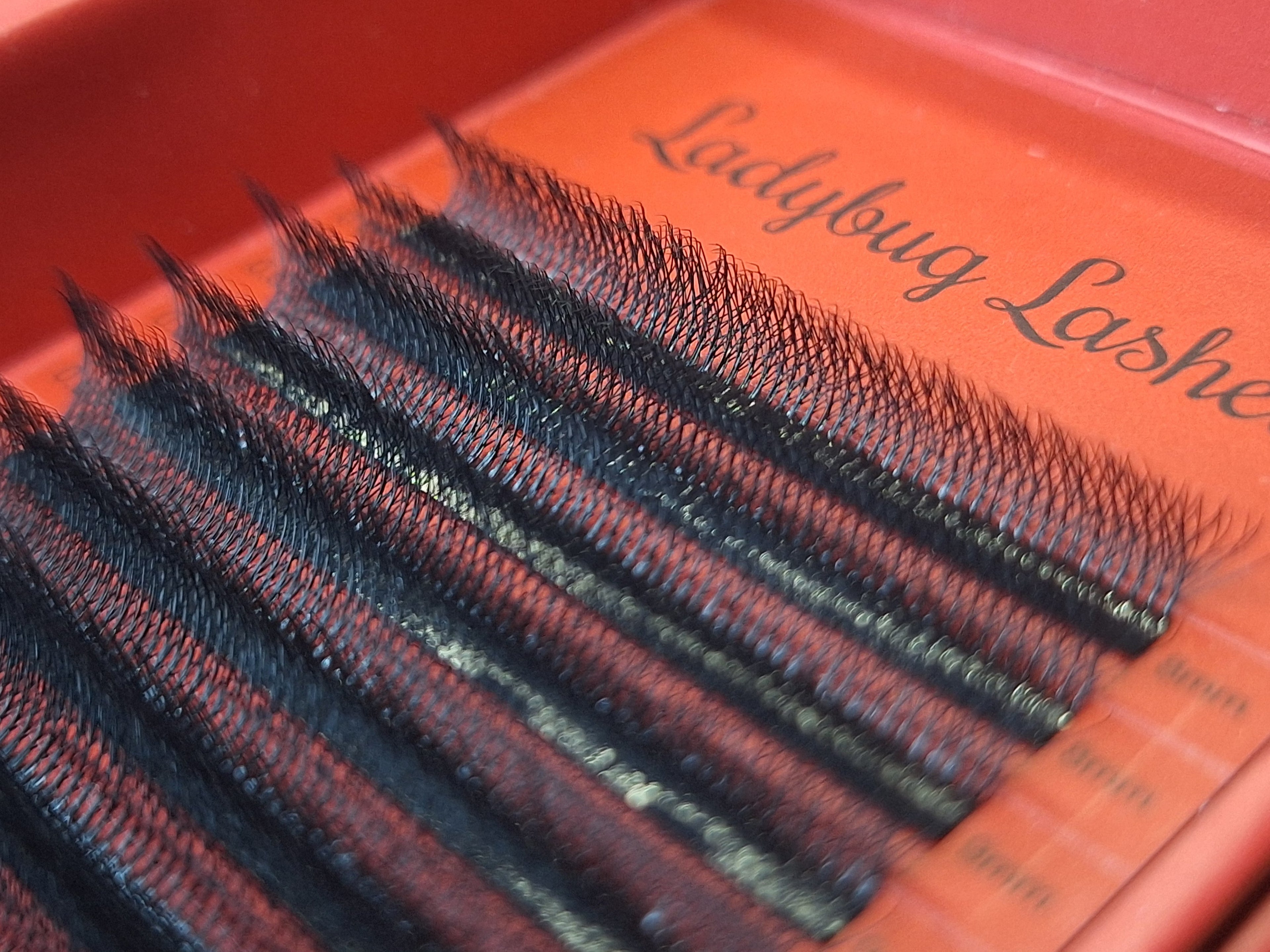 8D Clover Lash 16 Row Mixed Tray