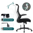 Auraspine Ergonomic Mesh Office Chair with Adjustable Lumbar Support & Breathable Backrest