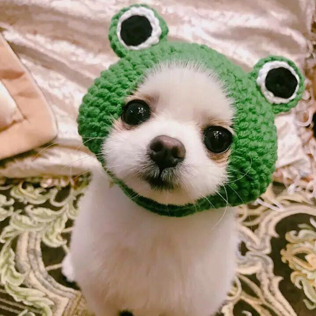 Gestrickte Wollmütze für Haustiere, Frosch-Kopfschmuck