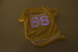 Ropa para mascotas con LED luminoso