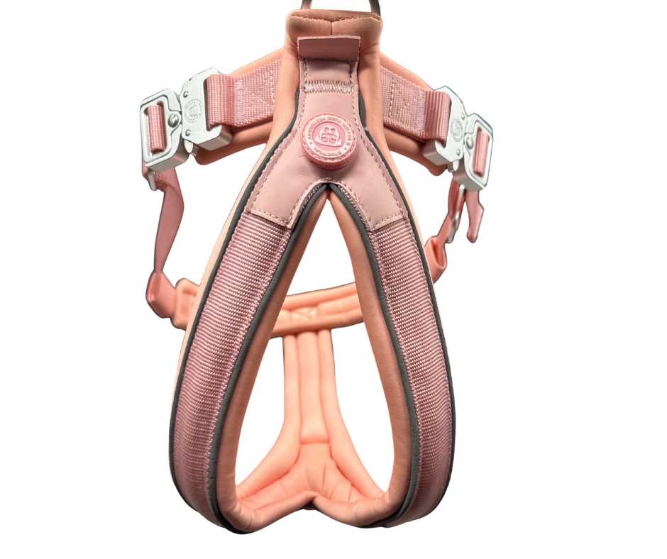 Das 2,5 cm BTactical™ Schlupfgeschirr | Pastellrosa