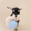Gnaw Interactive Dog Printed Snail Pet Toy