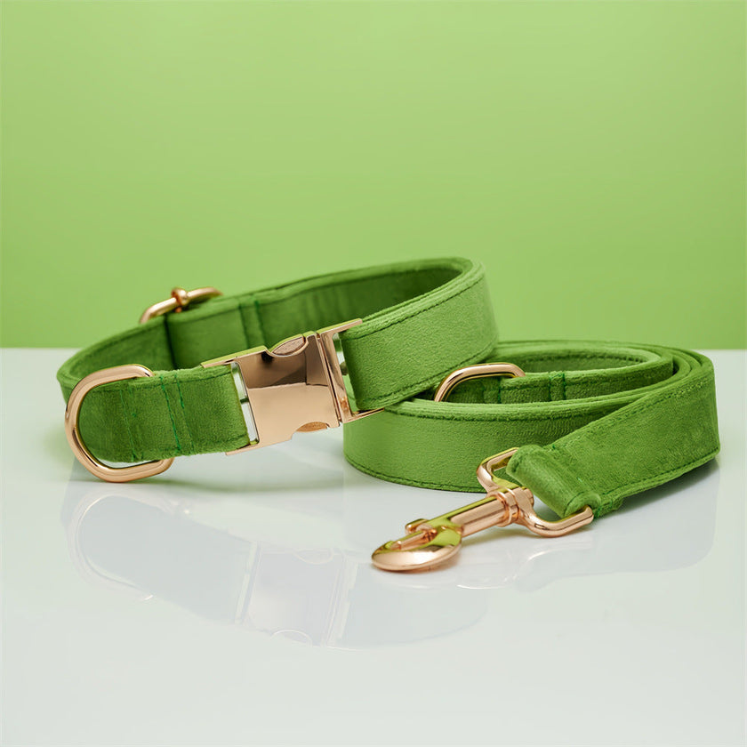 Multiple Colour Velvet Personalise Dog Collar Leash Set With Bow