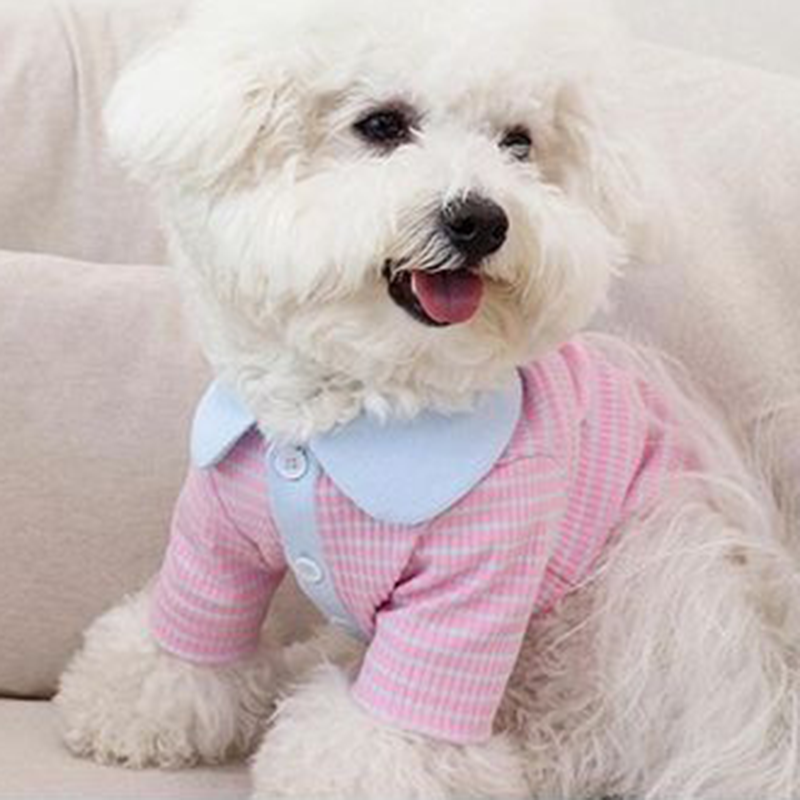 Fashion Personality Cat Dog Stripe Polo Shirt
