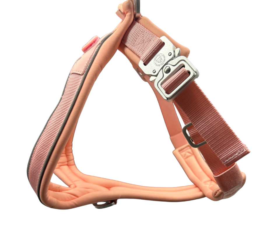Das 2,5 cm BTactical™ Schlupfgeschirr | Pastellrosa