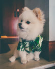 Hawaiian European And American Spring Style French Fighting Corgi Shiba Dog Shirt