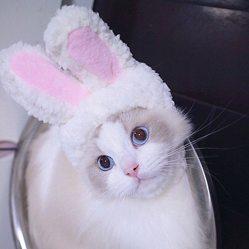Pet Headgear Cute Dog Teddy Dress Up SUNFLOWER Cat Headdress Wig Cat Headgear Hat
