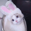 Pet Headgear Cute Dog Teddy Dress Up SUNFLOWER Cat Headdress Wig Cat Headgear Hat