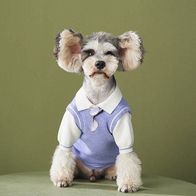 Dog Clothes Fake Two-piece Sweater Knit Sweater Pomeranian Law Fighting Pet Outfit Trend