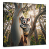 Koala Tranquility Canvas
