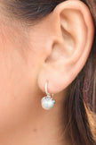 OCEANS PALM COVE FRESHWATER PEARL EARRINGS SILVER