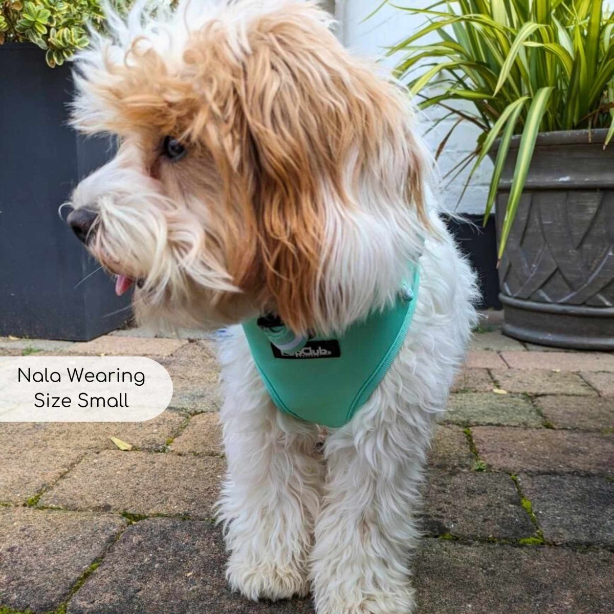 Adjustable Harness - Pastel Mint Green