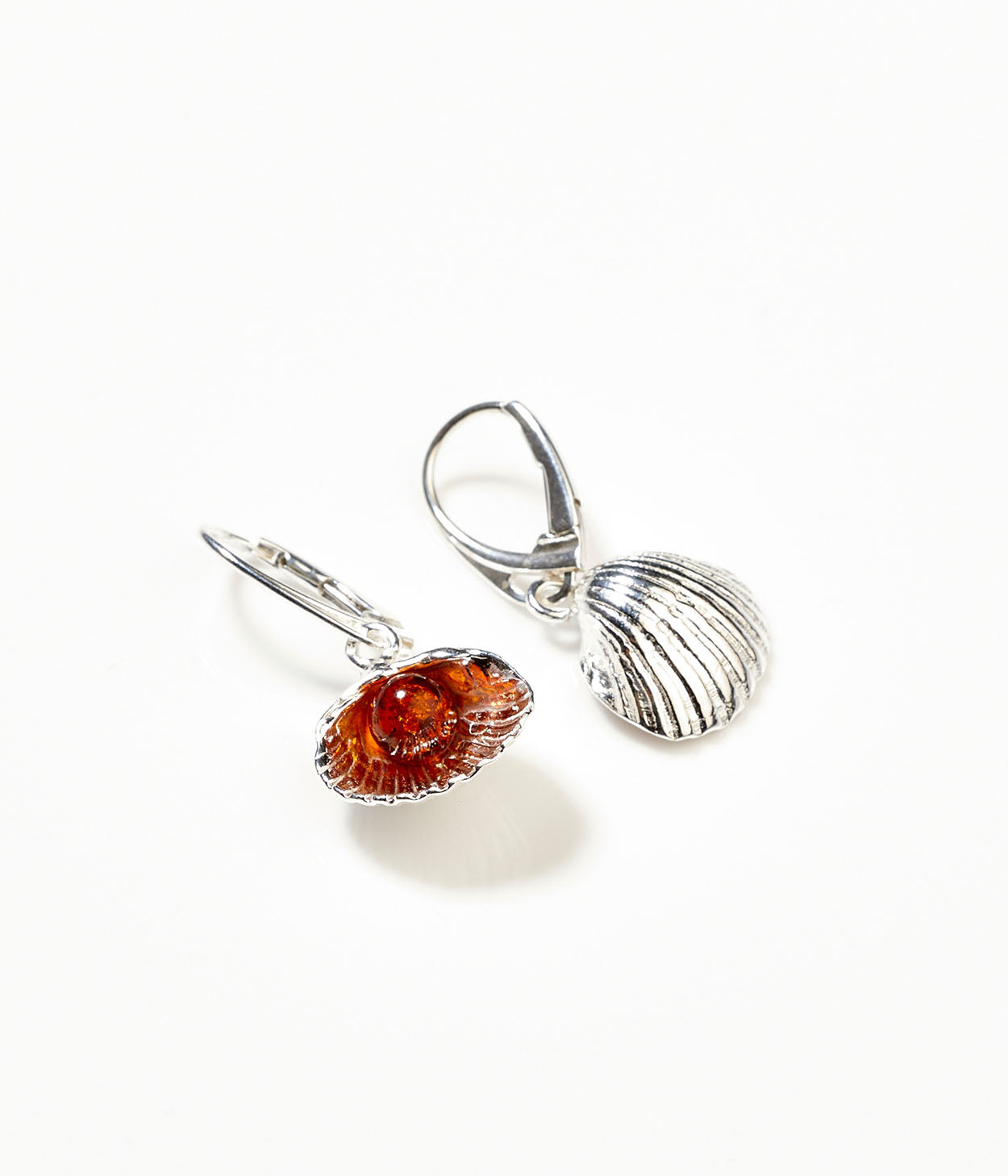 Amber Sea Shell Drop Earrings