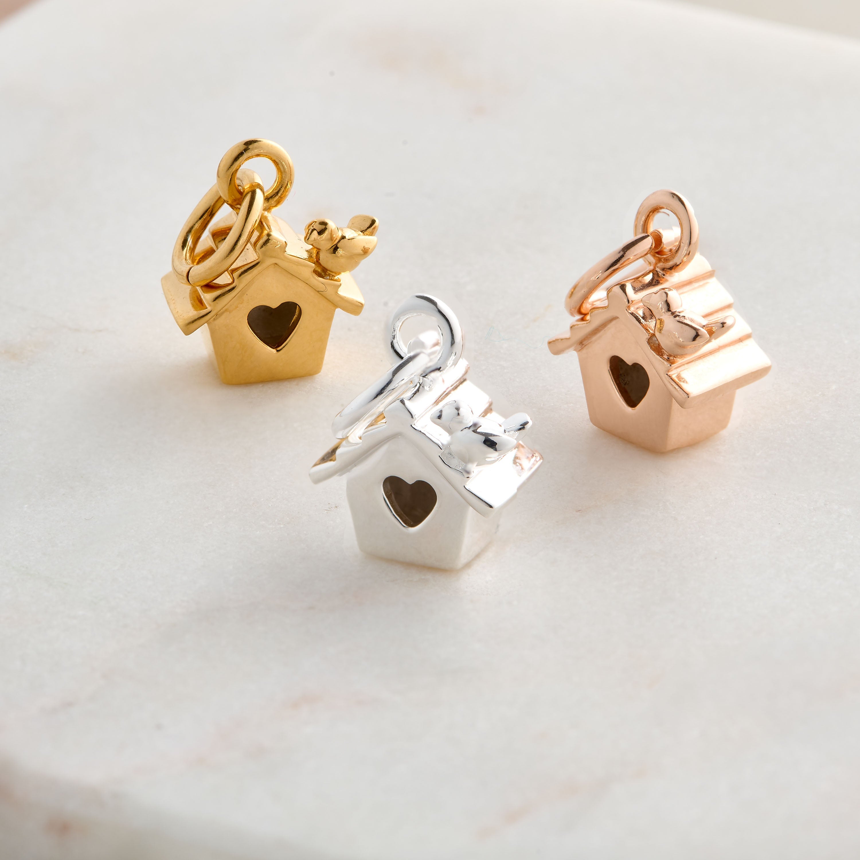 Bird House Silver Charm