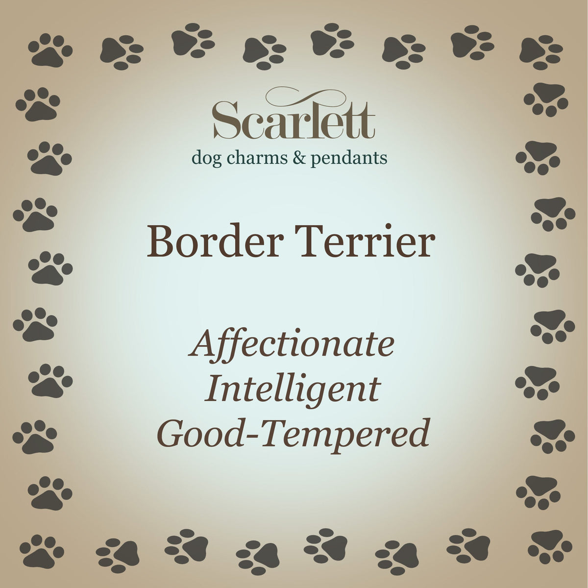 Border Terrier Personalised Silver Dog Tag Necklace