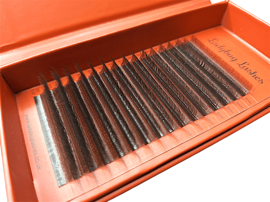 Brown W Lash 16 Row Mixed Tray