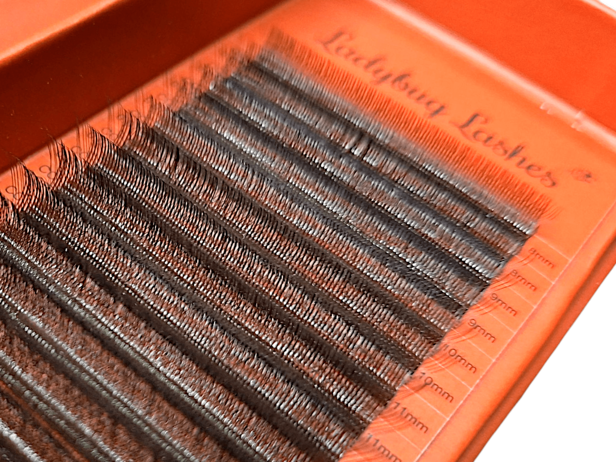 Brown W Lash Single Length 16 Row Tray