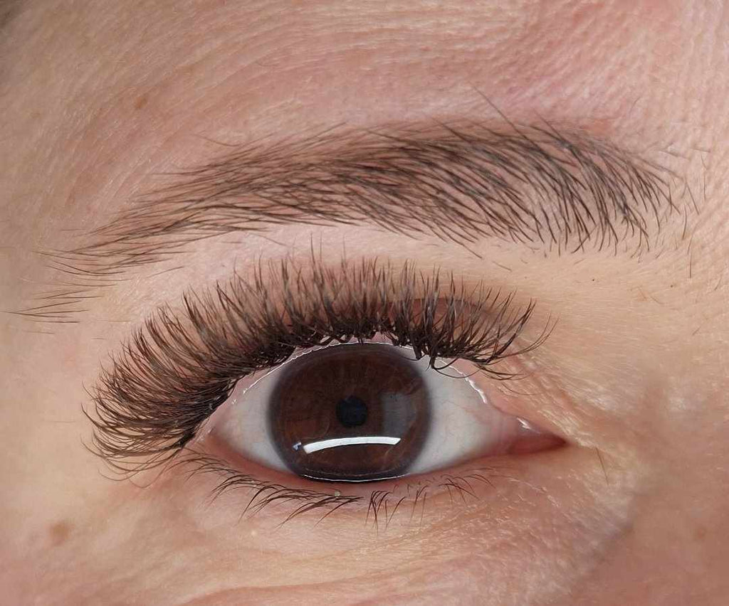 Brown Fairy Lash 16 Row Mixed Tray