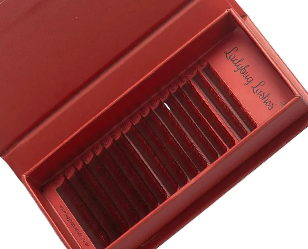 Brown Volume Lash Mixed Tray