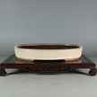 26cm Glazed Bonsai Pot | Oval | 26cm x 19cm x 4cm | Cream