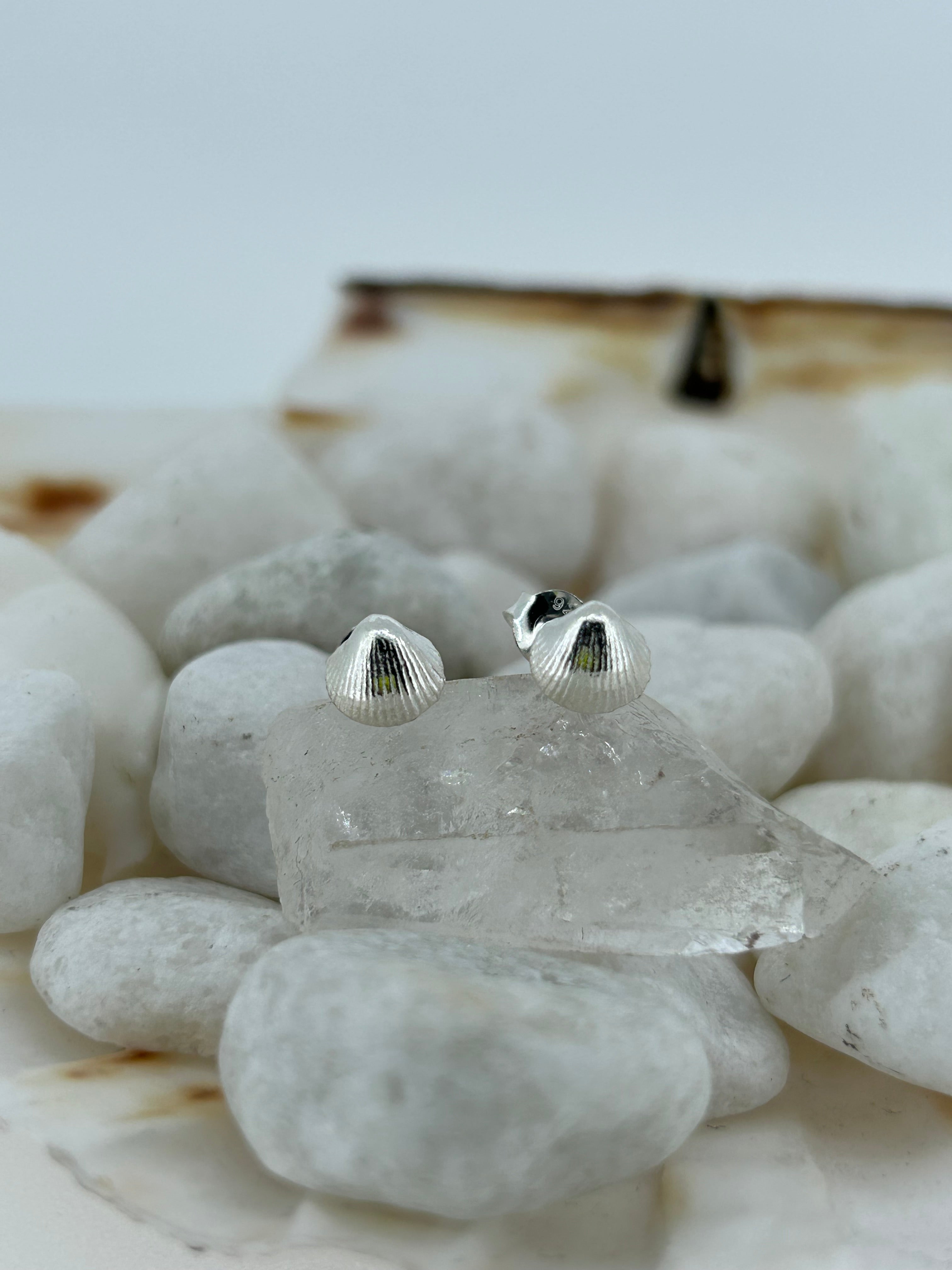 Mini Shell Studs
