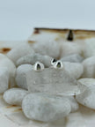 Mini Shell Studs