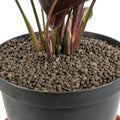 Expanded Clay Aggregate, KERAMZYT, Grade 1-4mm