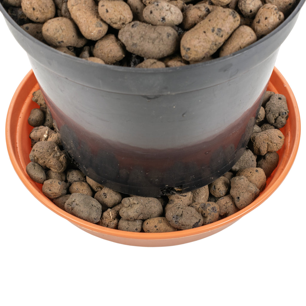 Expanded Clay Aggregate, KERAMZYT, Grade 8-16mm