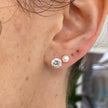 Duchess Studs