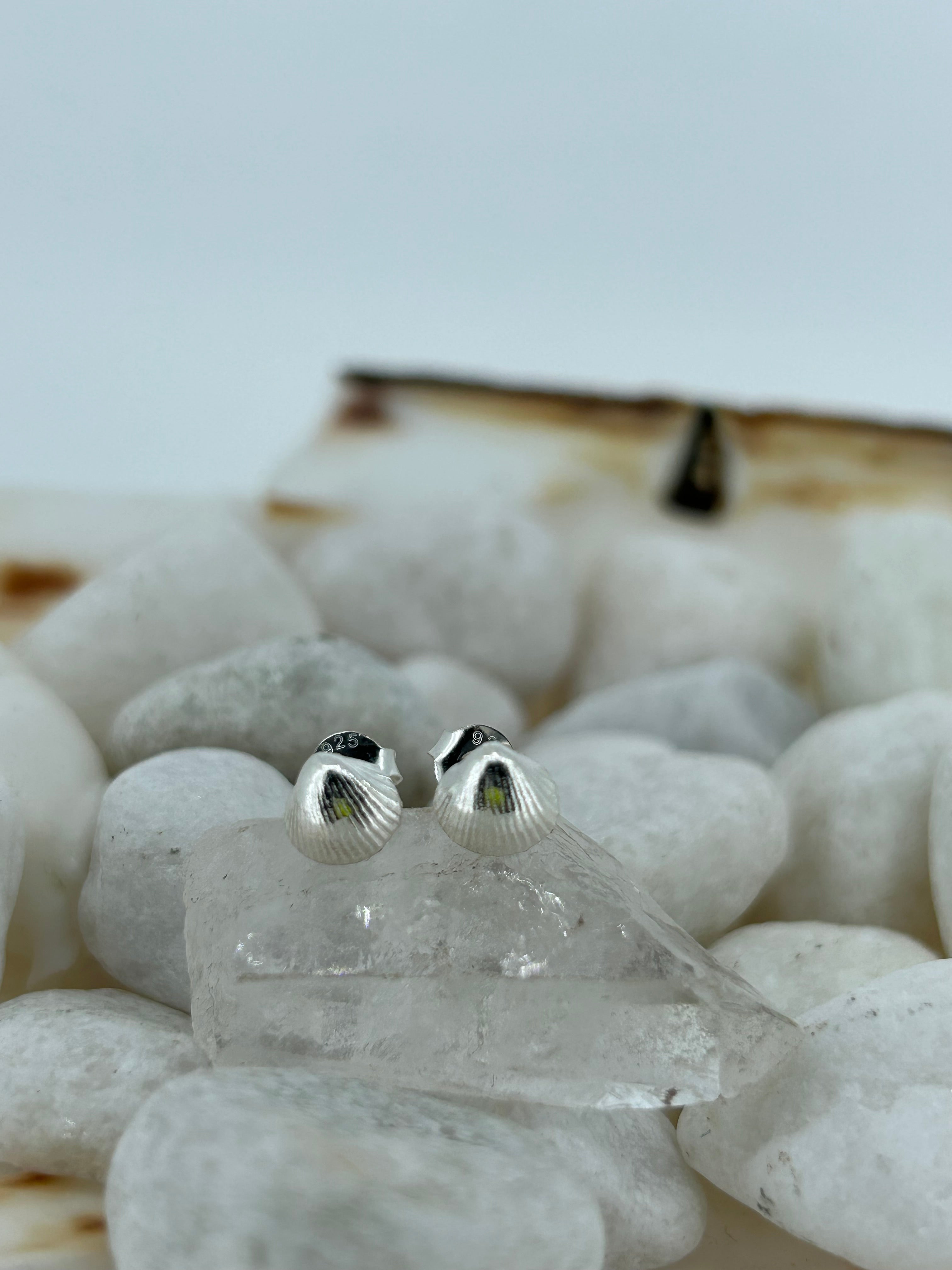 Mini Shell Studs