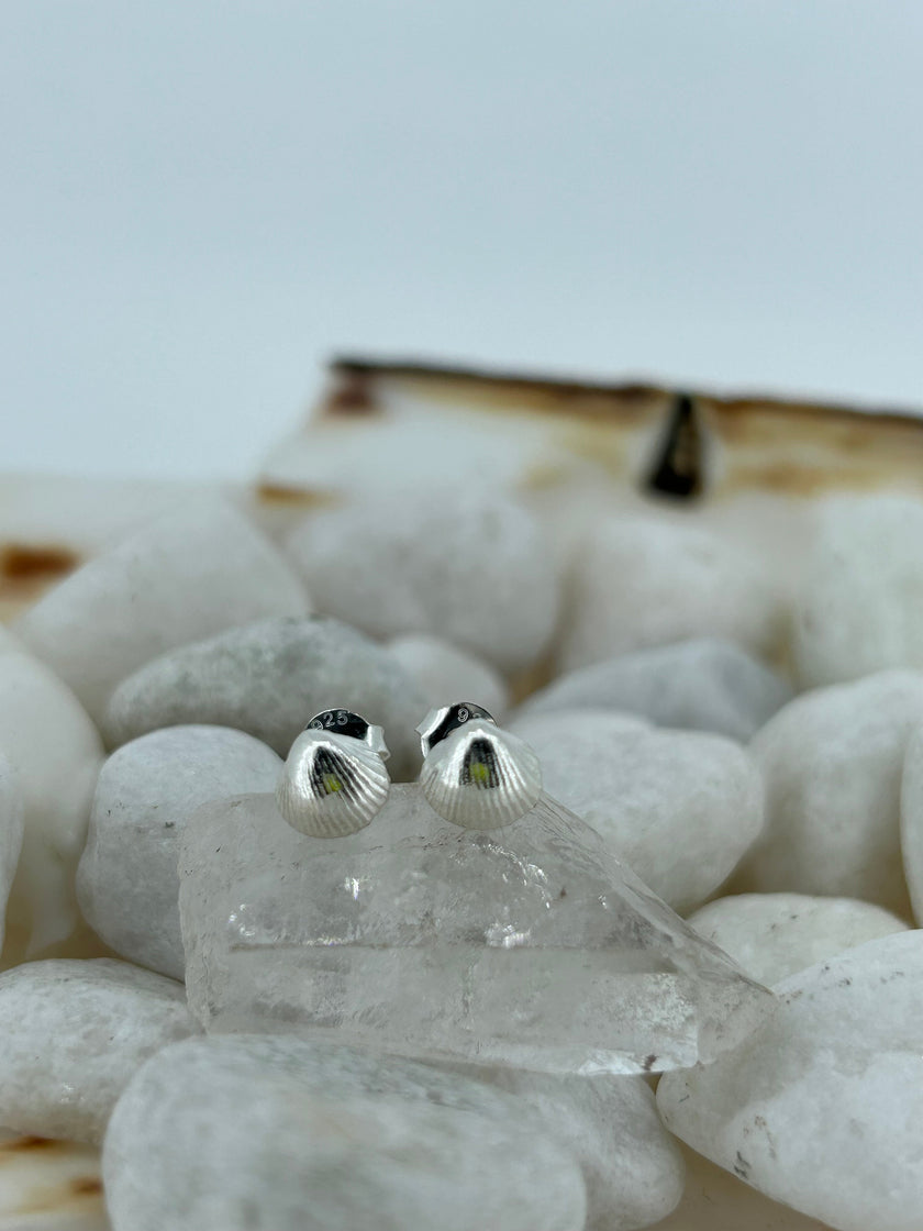 Mini Shell Studs