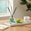 ZITRONENGRAS & MINZE DIFFUSER 100ML