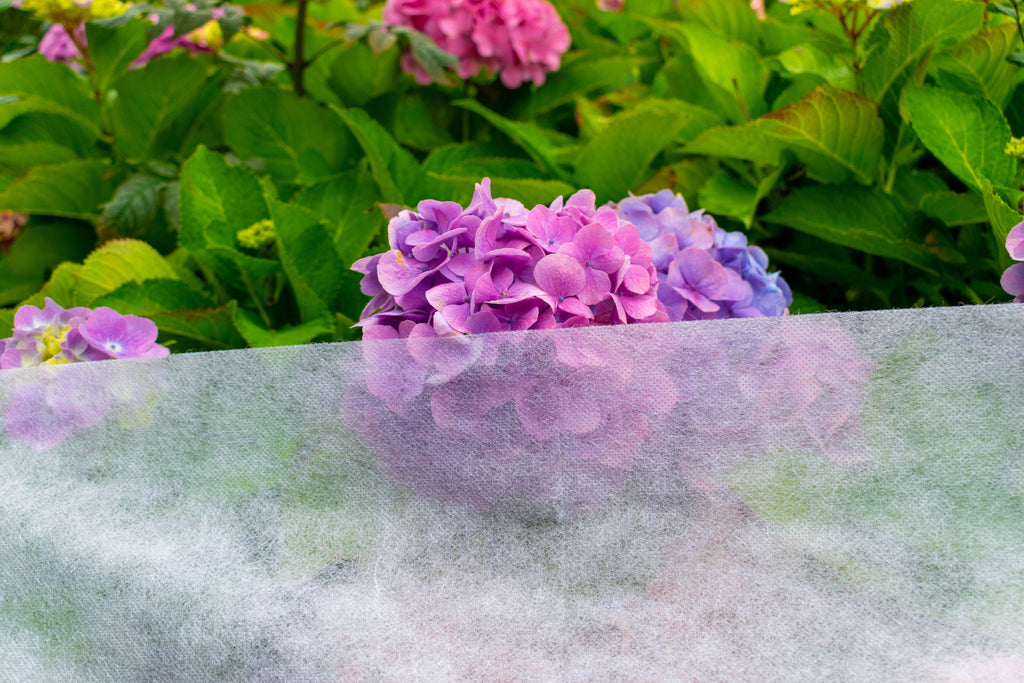 30g Non-Woven Frost Protect Fleece 3.2m x 5m