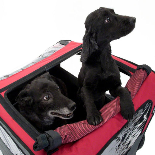 Bellelli Dog Bicycle Trailer with Jogging Kit
