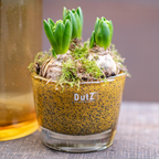 CONIC Vase - Thick Glass with Bubbles by DutZ