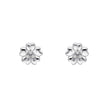 Laura Ashley Silver Riverly Ditsy Pave Flower Stud Earrings